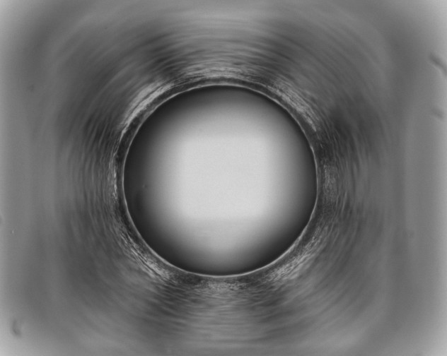 X0000098050782200804071506