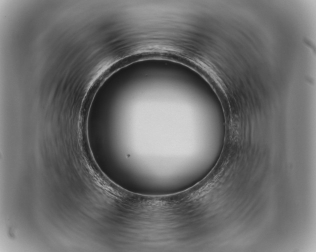 X0000098050783200804071506