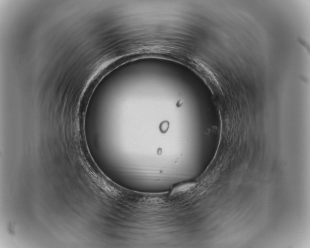 X0000098050784200804071506