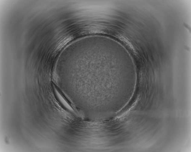 X0000098050785200804071506