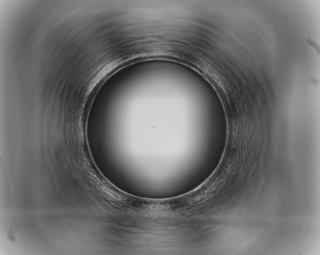 X0000098050789200804071506