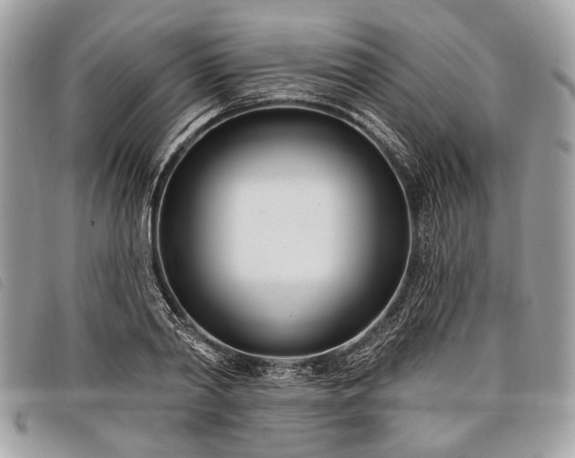 X0000098050790200804071506