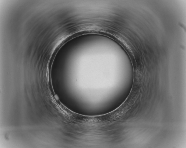 X0000098050791200804071506