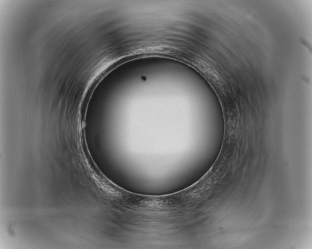 X0000098050792200804071506