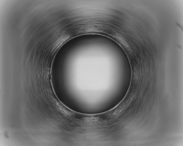 X0000098050793200804071506