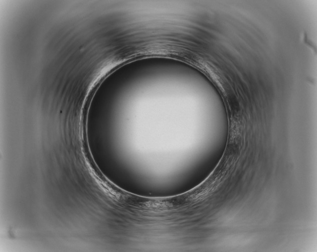 X0000098050795200804071506