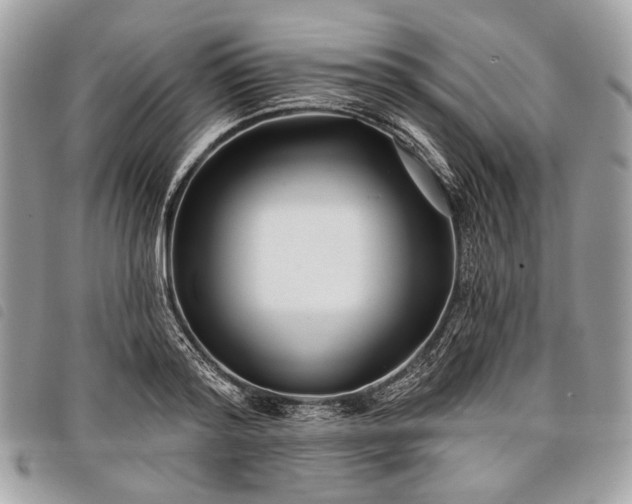 X0000098050796200804071506