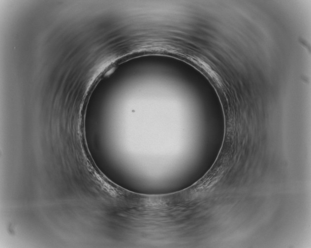 X0000098050799200804071506