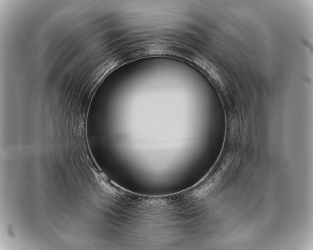 X0000098050801200804071506