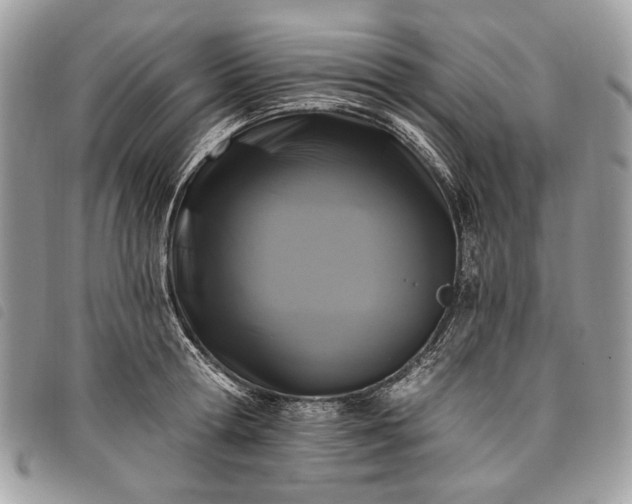 X0000098050802200804071506