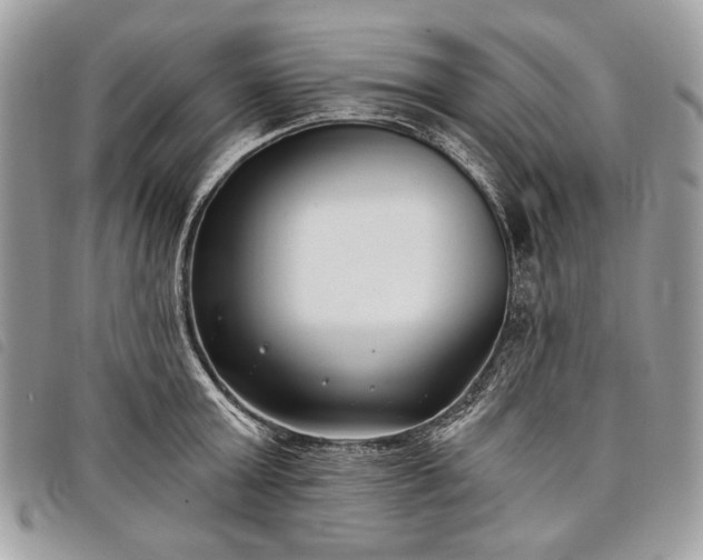 X0000098050803200804071506