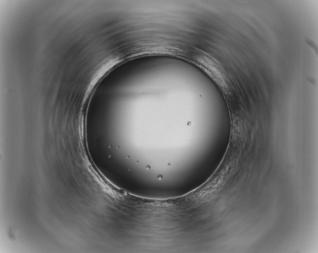 X0000098050804200804071506