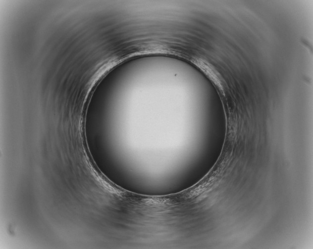 X0000098050805200804071506