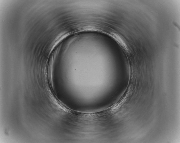 X0000098050806200804071506