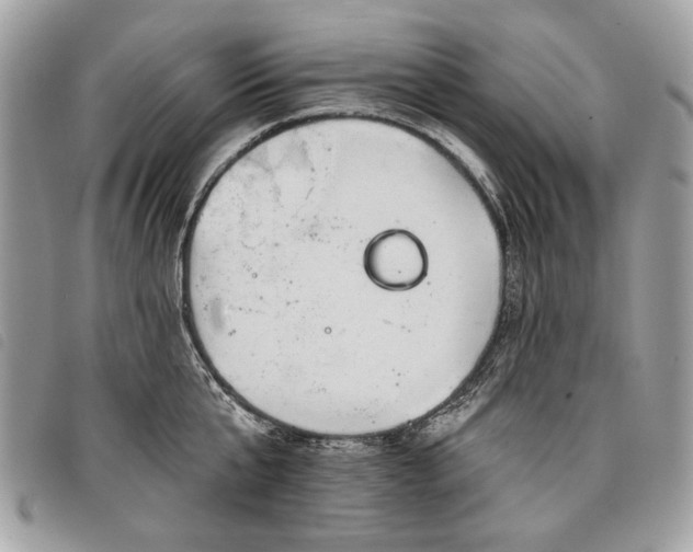 X0000098050807200804071506