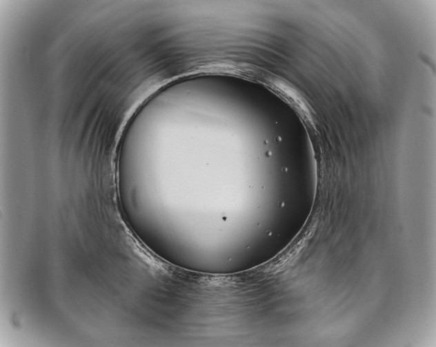 X0000098050808200804071506