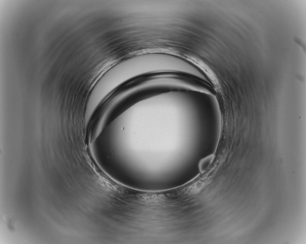 X0000098050809200804071506