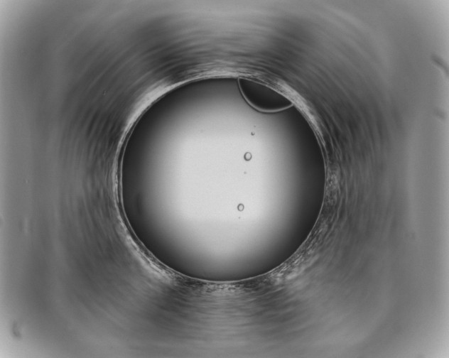 X0000098050811200804071505