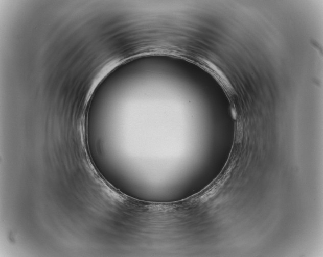 X0000098050812200804071505