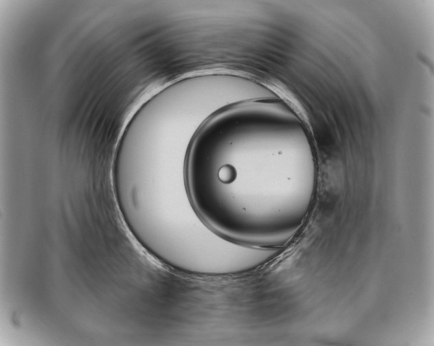 X0000098050813200804071505