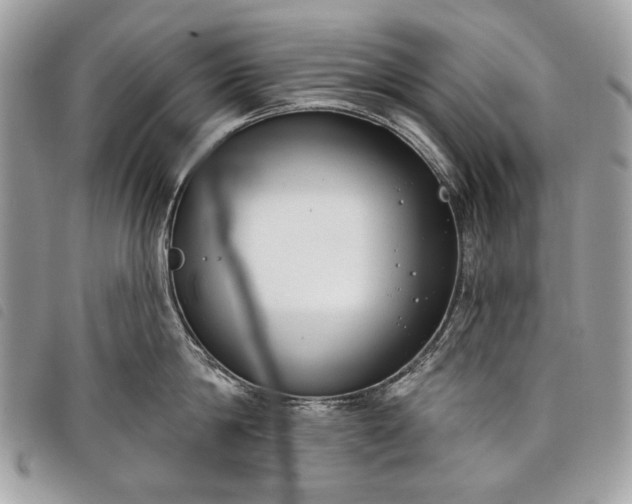 X0000098050814200804071505