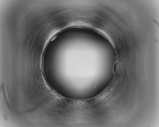 X0000098050815200804071505