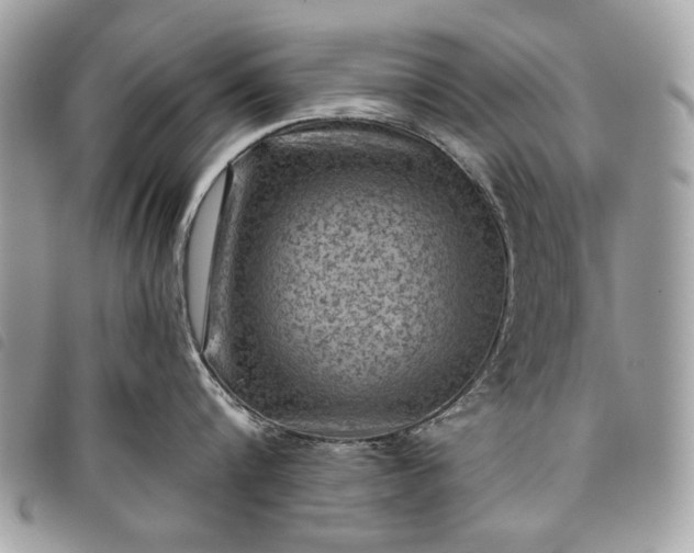 X0000098050816200804071505