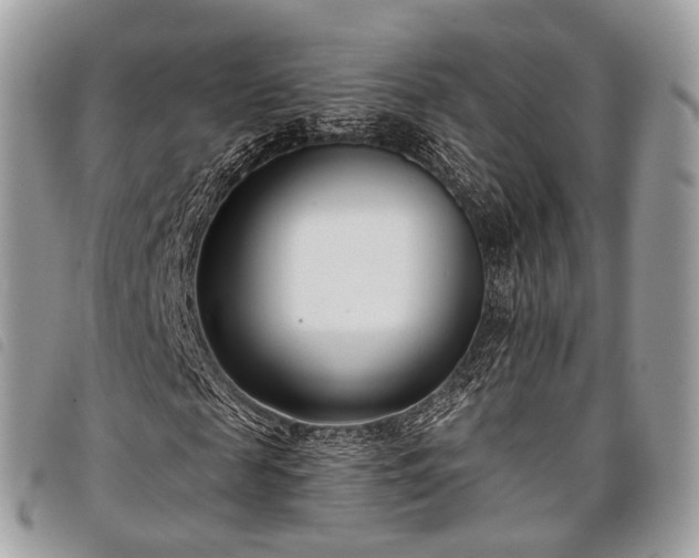 X0000098050817200804071505