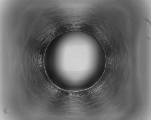 X0000098050818200804071505