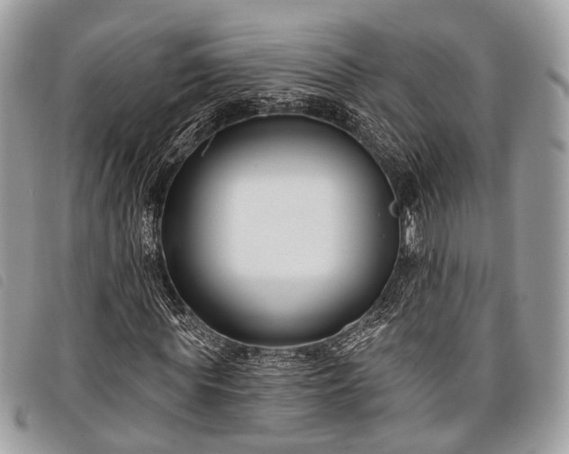 X0000098050819200804071505