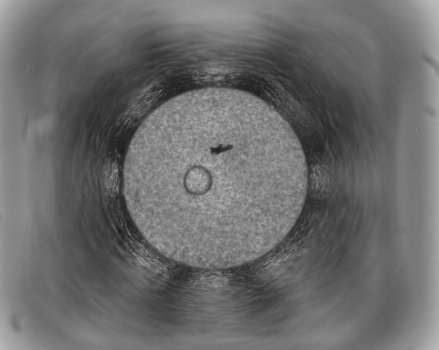 X0000098050820200804071505
