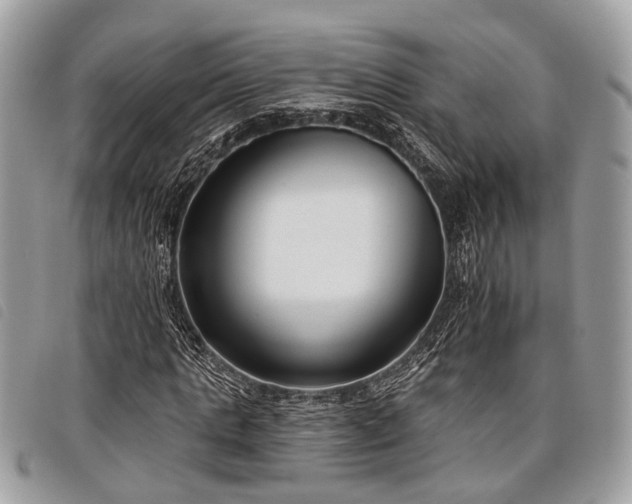 X0000098050821200804071505