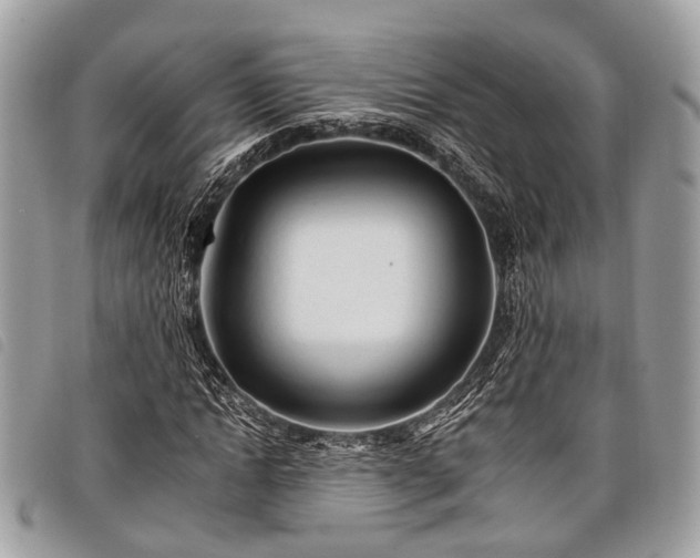 X0000098050822200804071505