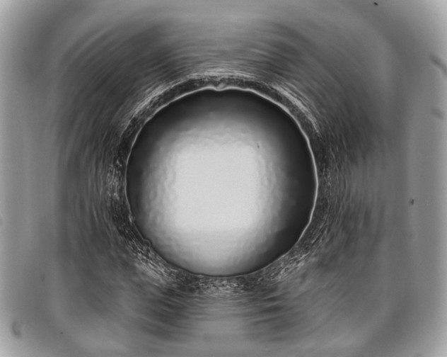 X0000098050823200804071505