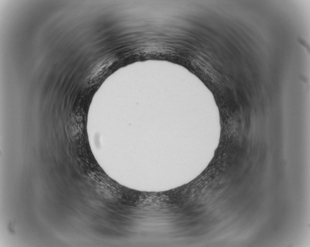 X0000098050824200804071505