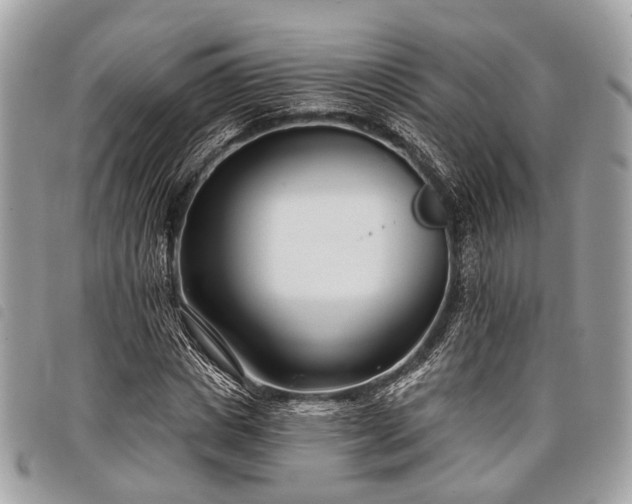 X0000098050825200804071505