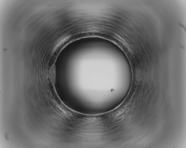 X0000098050826200804071505