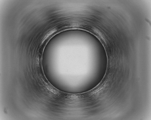 X0000098050827200804071505