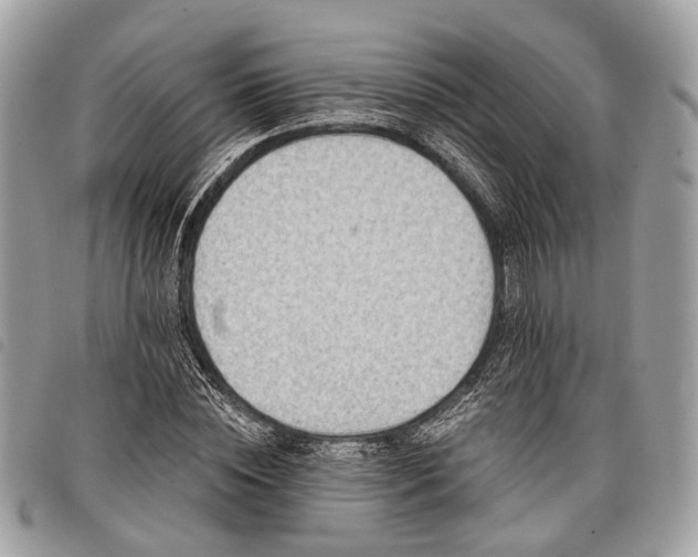 X0000098050828200804071505