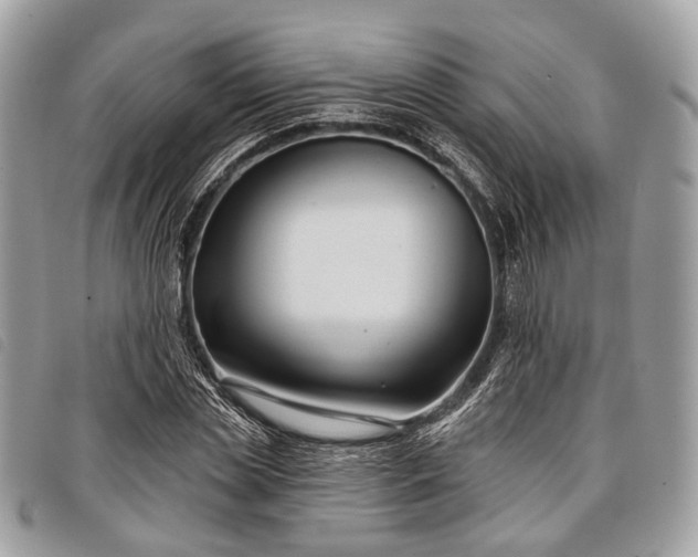 X0000098050829200804071505