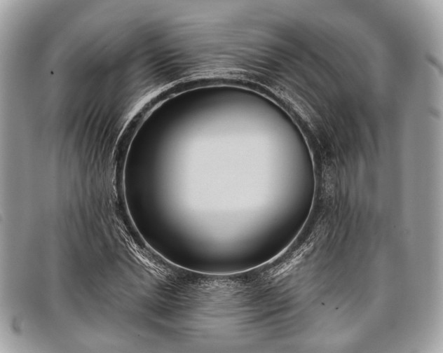 X0000098050830200804071505