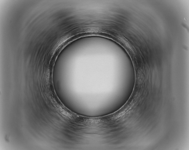 X0000098050831200804071505