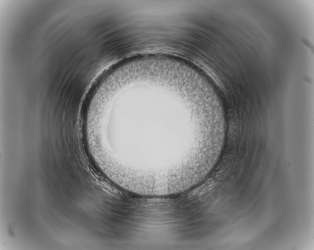 X0000098050832200804071505