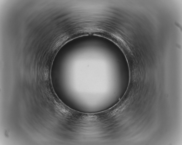 X0000098050833200804071505