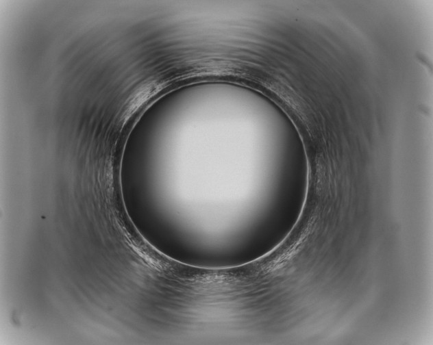 X0000098050834200804071505