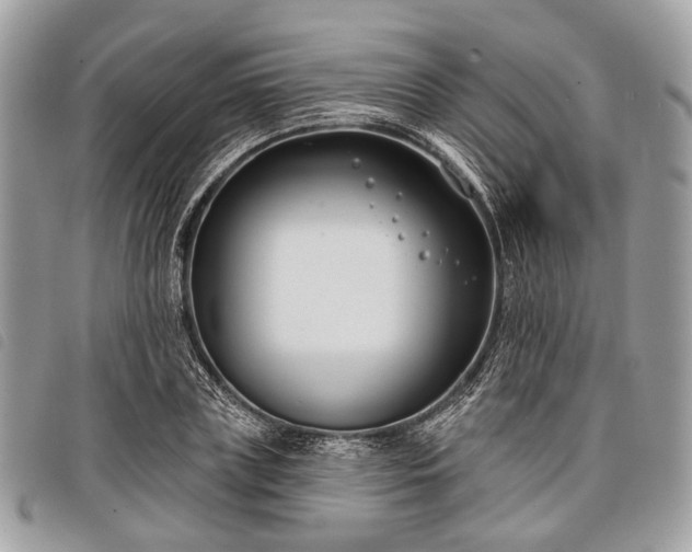 X0000098050835200804071505