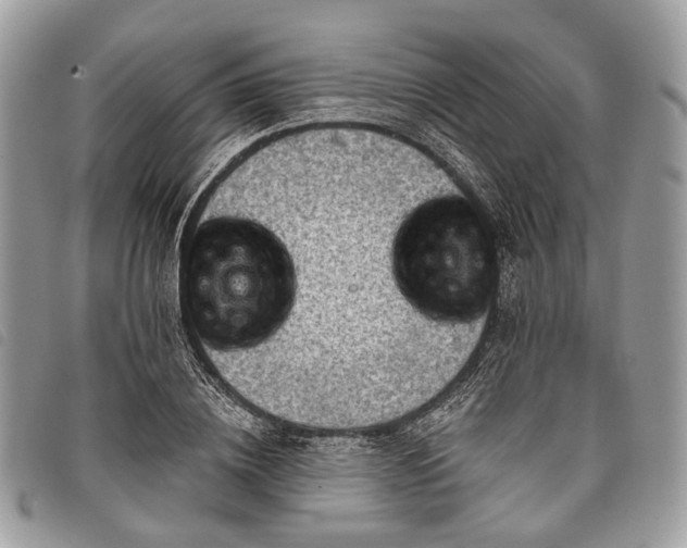 X0000098050836200804071505