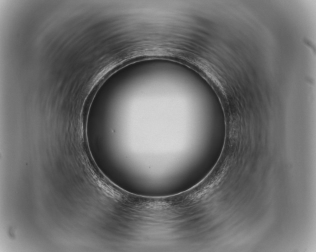 X0000098050837200804071505