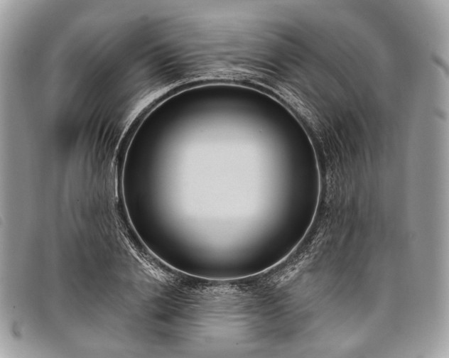 X0000098050838200804071505