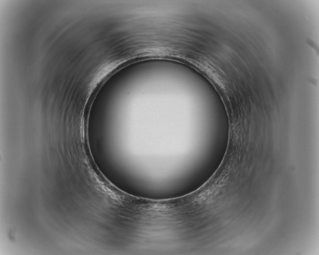 X0000098050839200804071505